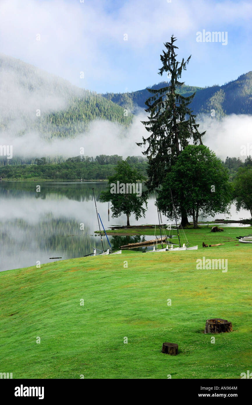 Morgennebel deckt die Hügel rund um Lake Quinault Olympic Peninsula Washington USA Stockfoto