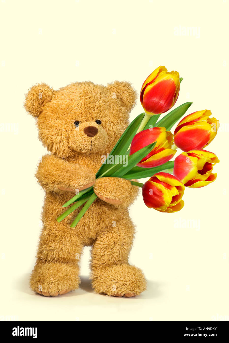 Teddybär mit Tulpen Stockfoto