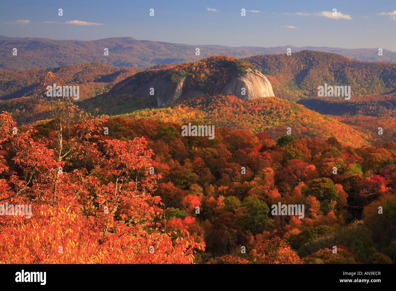 Looking Glass Rock, Blue Ridge Parkway, Brevard, North Carolina, USA Stockfoto