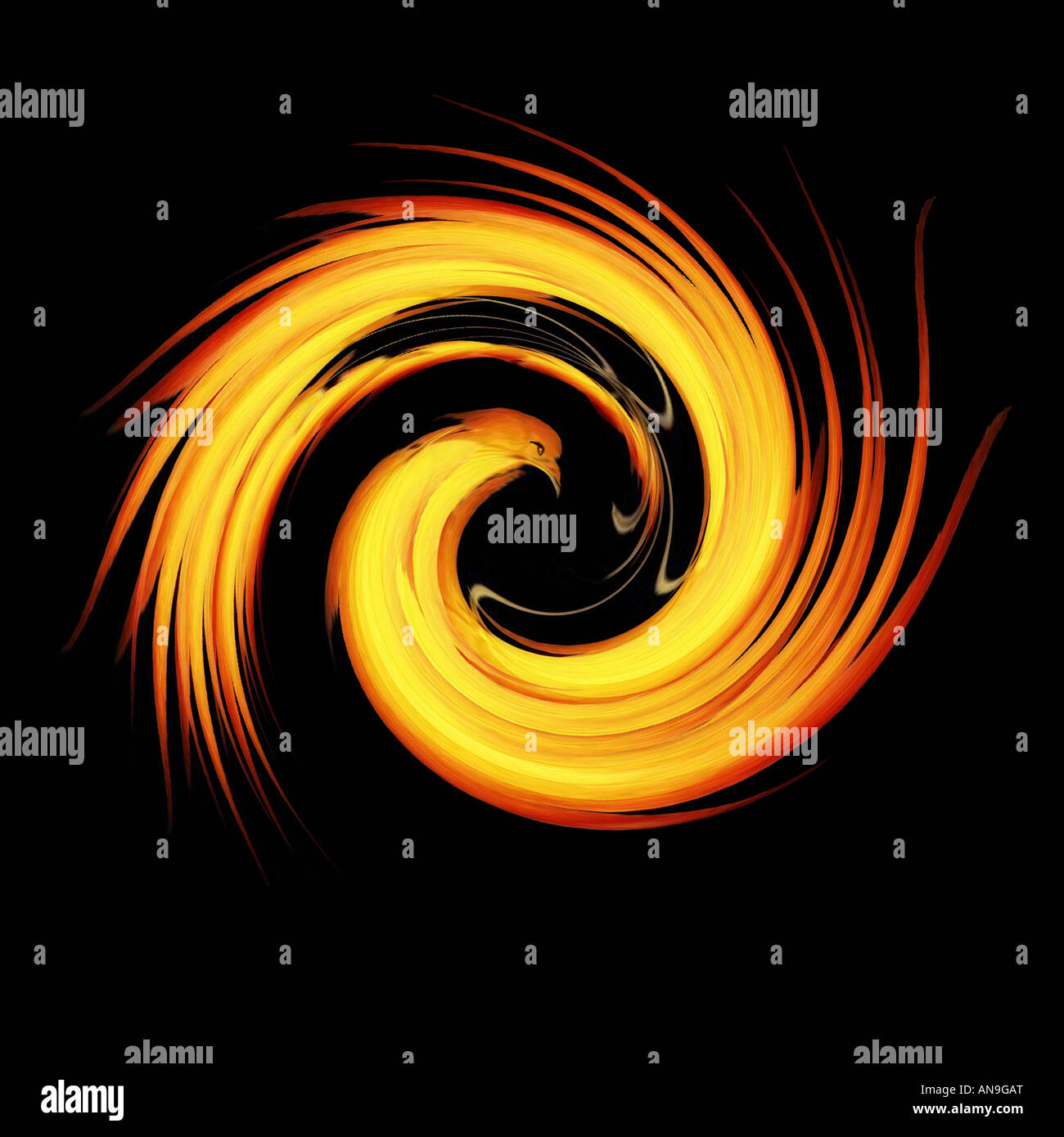 Feuer Vogel abstrakte Kunst Bild geeignet für ökologischen Tourismus-Geschäft oder Sport Logo oder als darstellende Kunst Stockfoto