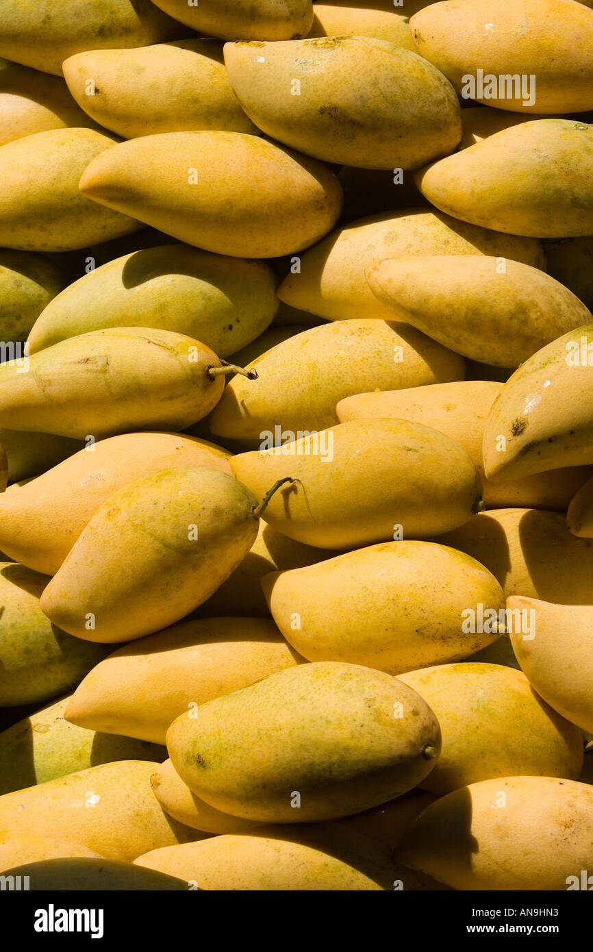 Mangos Bangkok Thailand Stockfoto