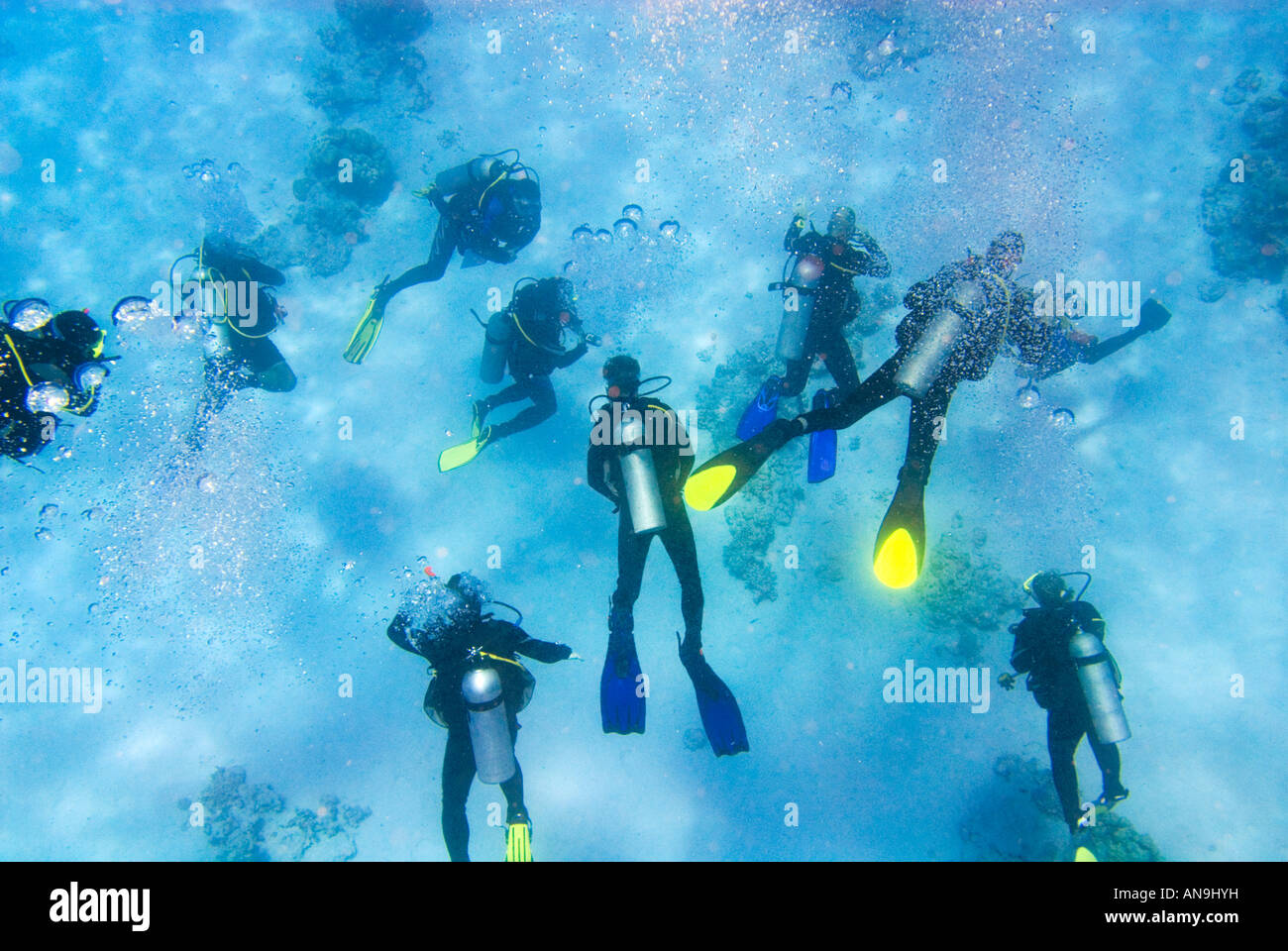 unter Wasser fühlen Taucher kostenlose Paket Herde Horde stolz Mann Männer Sportler blaue Gewässer wimmeln Stockfoto