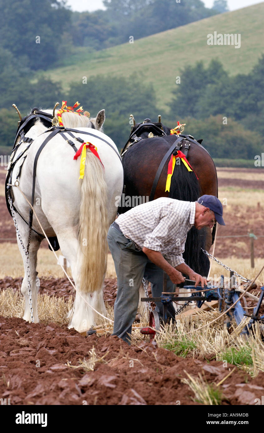 Jährliche Pflügen Spiel mit Pferdegespann bei Pandy Monmouthshire Wales UK Stockfoto