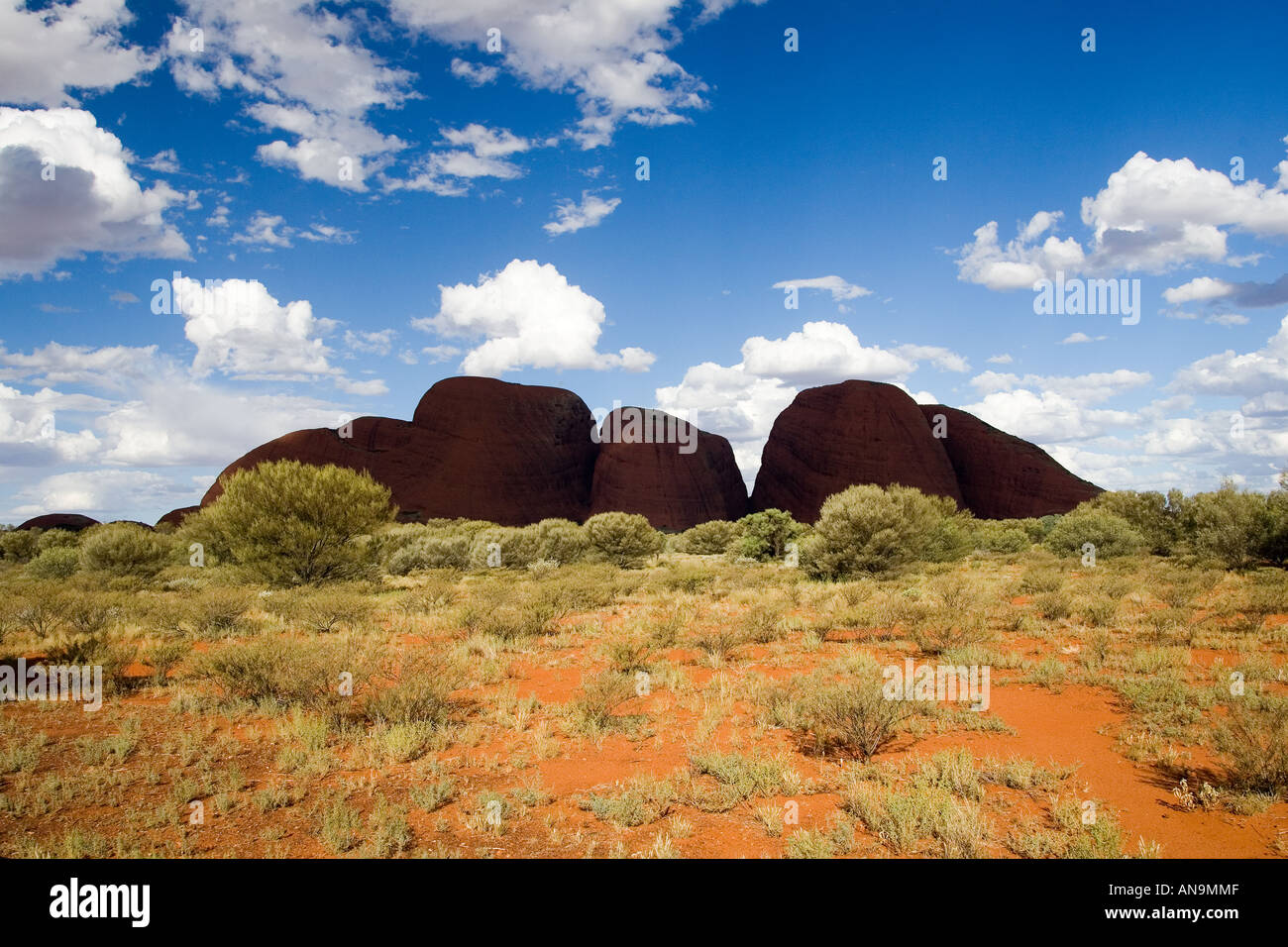 Die Olgas Kata Tjuta Red Centre Northern Territory Australien Stockfoto