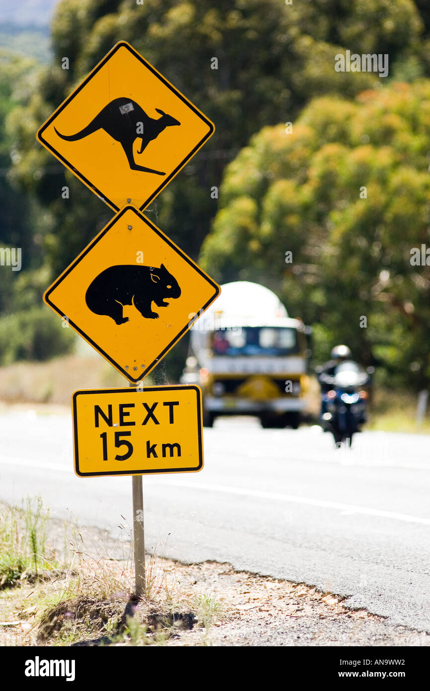 Tiere kreuzen unterschreiben auf Great Western Highway aus Sydney New South Wales Australien Stockfoto