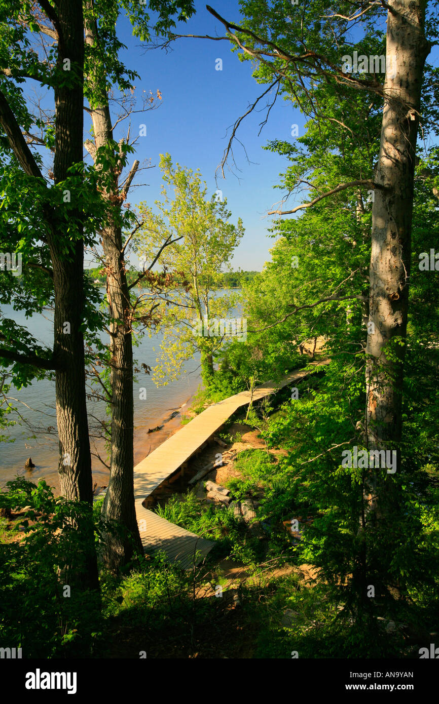 Mason Neck State Park, Fairfax County, Virginia, USA Stockfoto