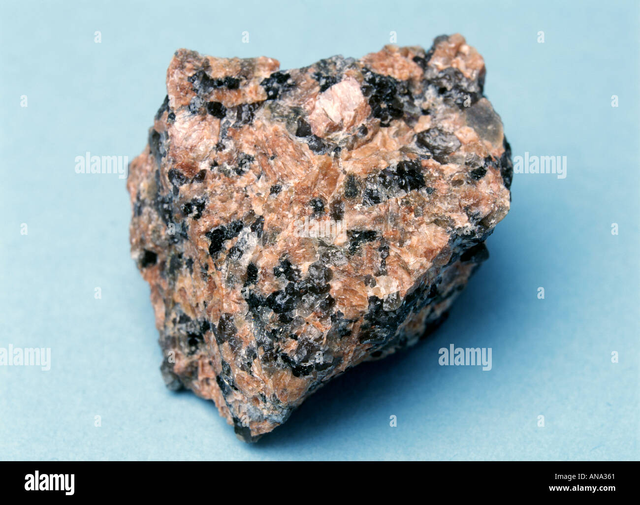 ein Exemplar aus rosa Granit auf blauem Hintergrund Stockfoto