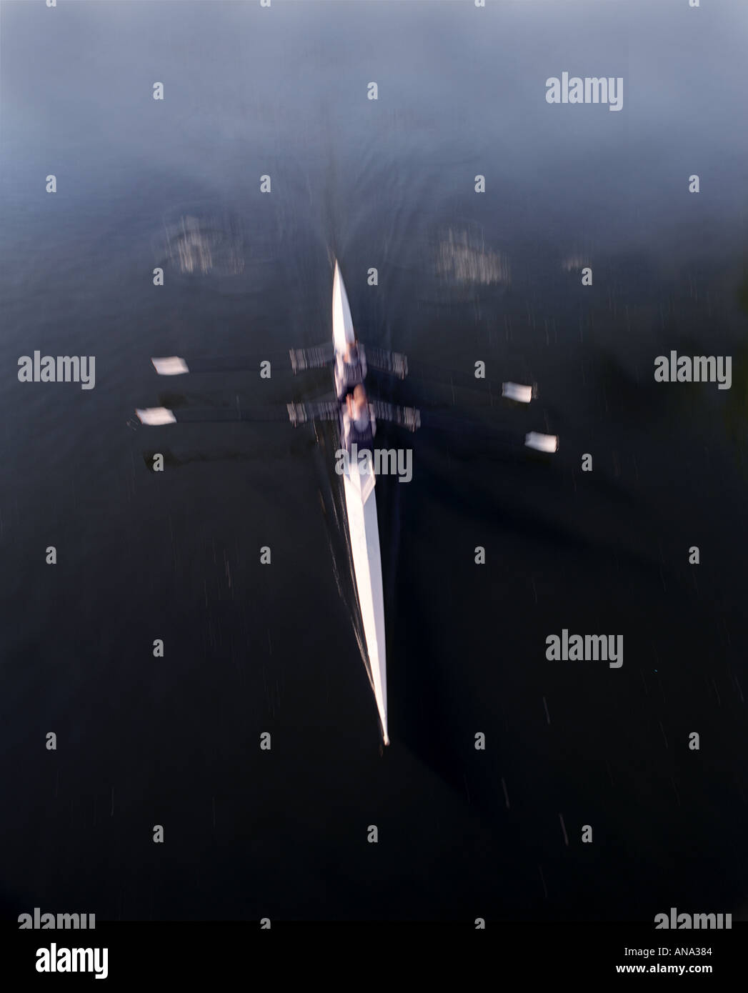 Teamarbeit mit Geschwindigkeit Rudern auf der Themse Stockfoto