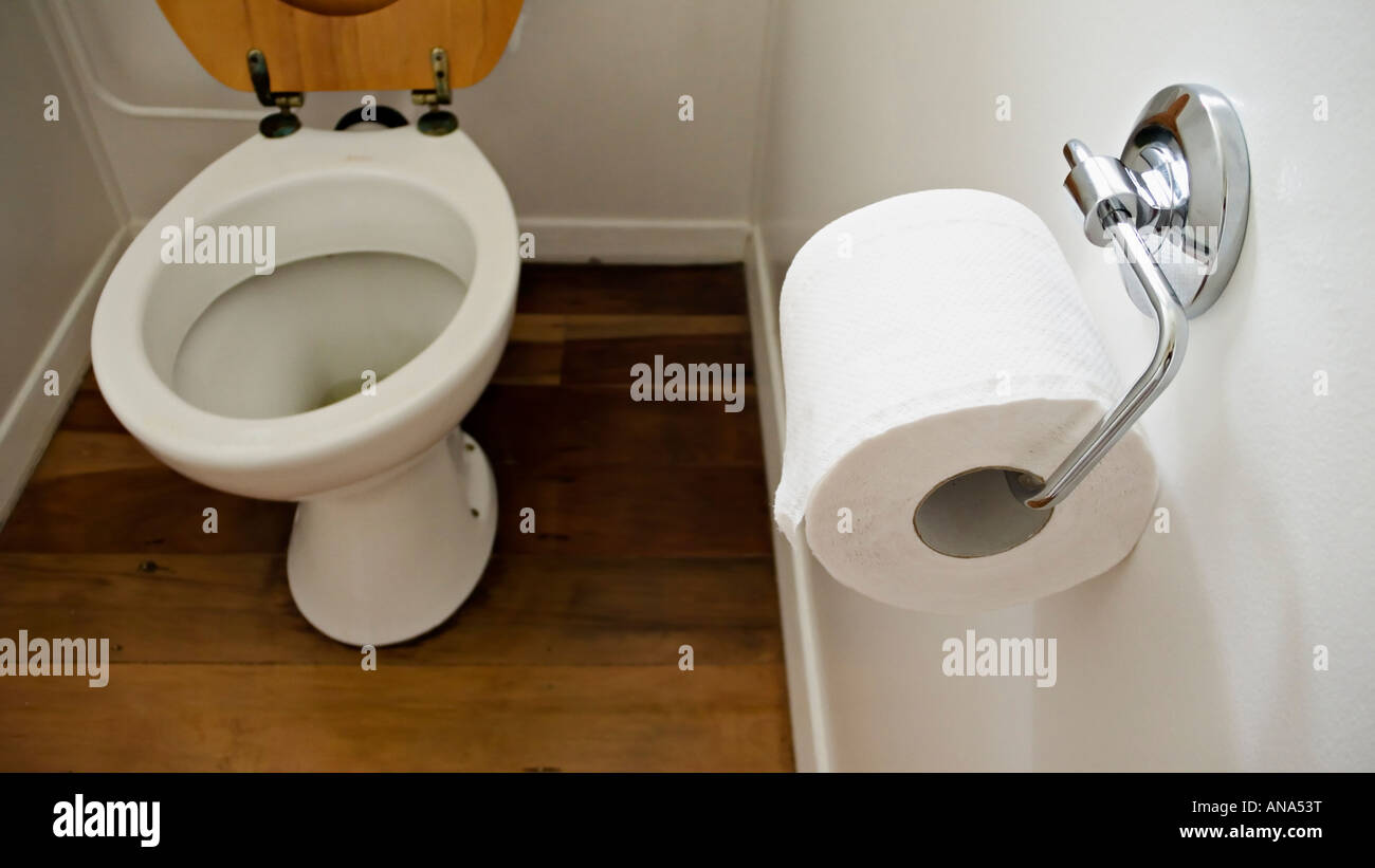 WC-Schüssel und Papier Stockfoto