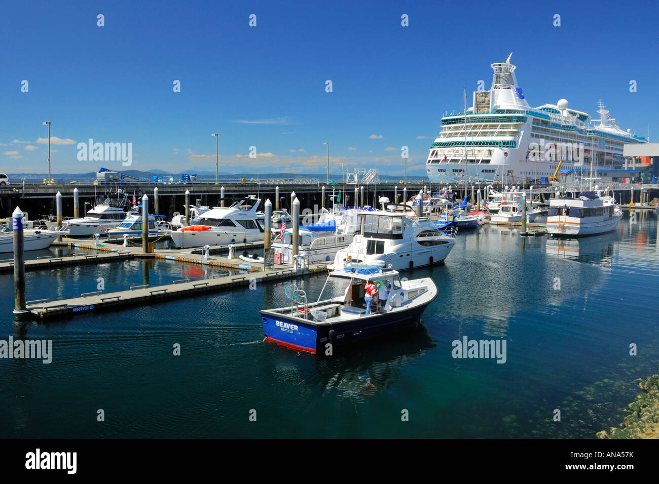 Der Yachthafen und Kreuzfahrt-Terminal an den Piers in Seattle Washington USA Stockfoto