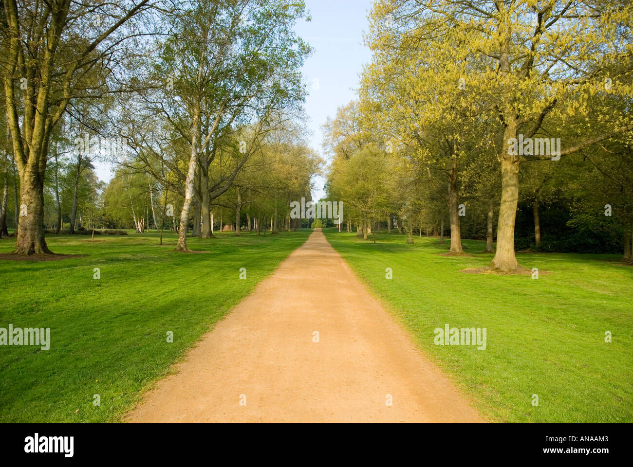 Sandy Weg verschwindet Stockfoto