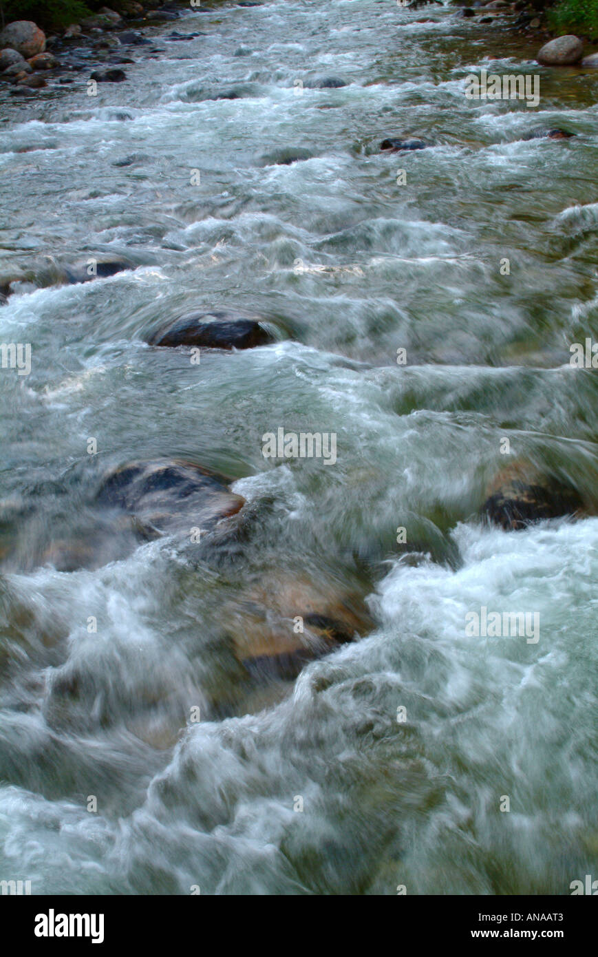 Rock Creek River in vollem Gange im Resort in der Nähe von Red Lodge Montana USA Stockfoto