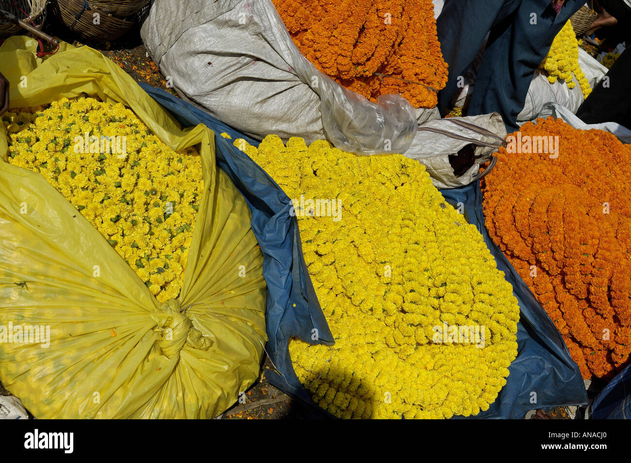 Blumen zum Verkauf in Kolkata Stockfoto