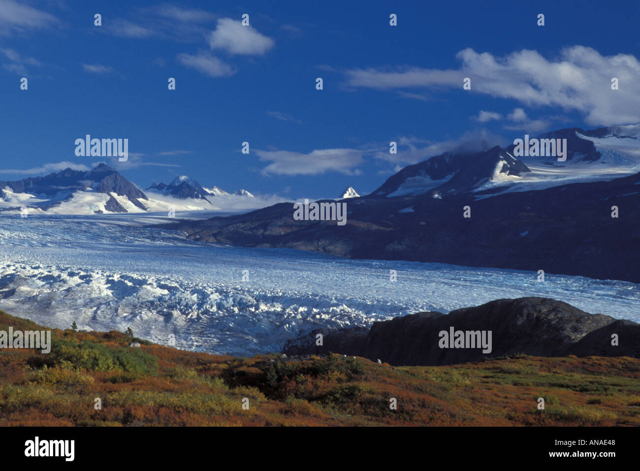 Tustumena Gletscher und alpine Tundra Alaskas Stockfoto
