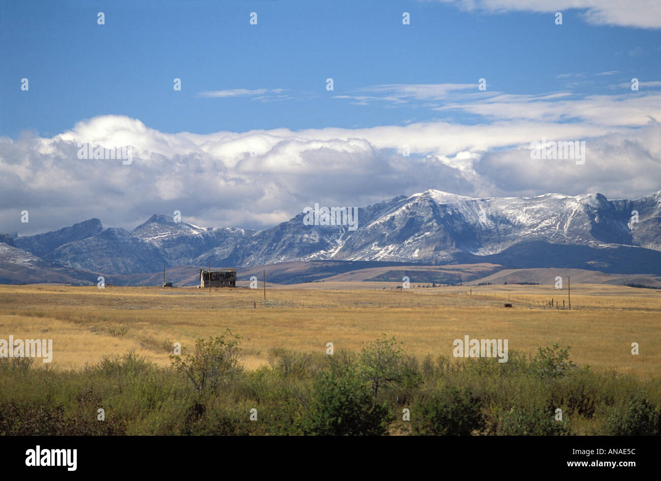 Einsame Prärie im nördlichen Montana USA Stockfoto