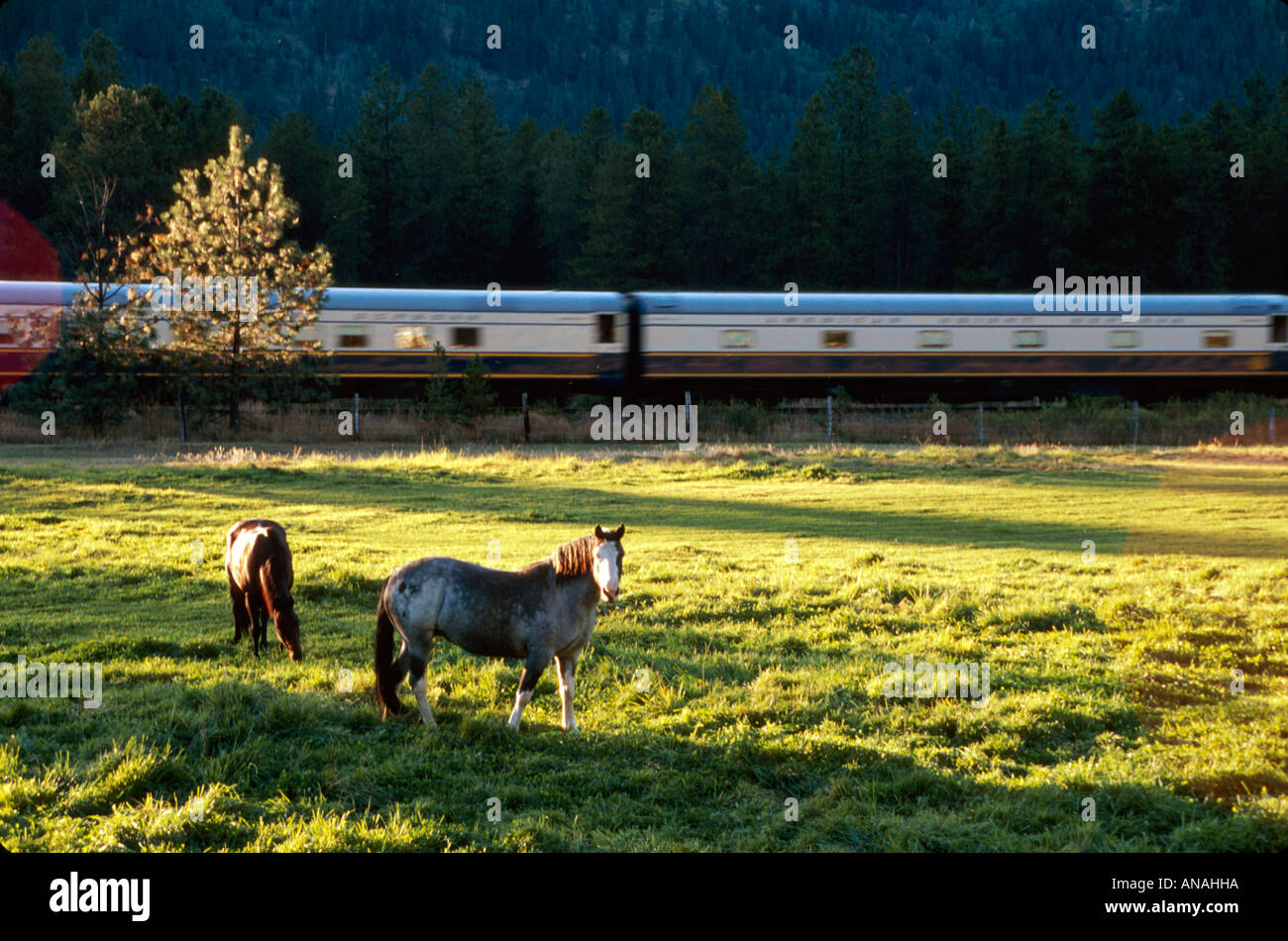Amerikanische eisenbahnwaggons Fotos und Bildmaterial in hoher