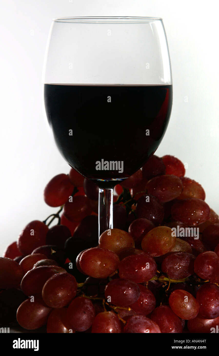 Glas des französischen Rotwein Beaujolais von Trauben umgeben Stockfoto