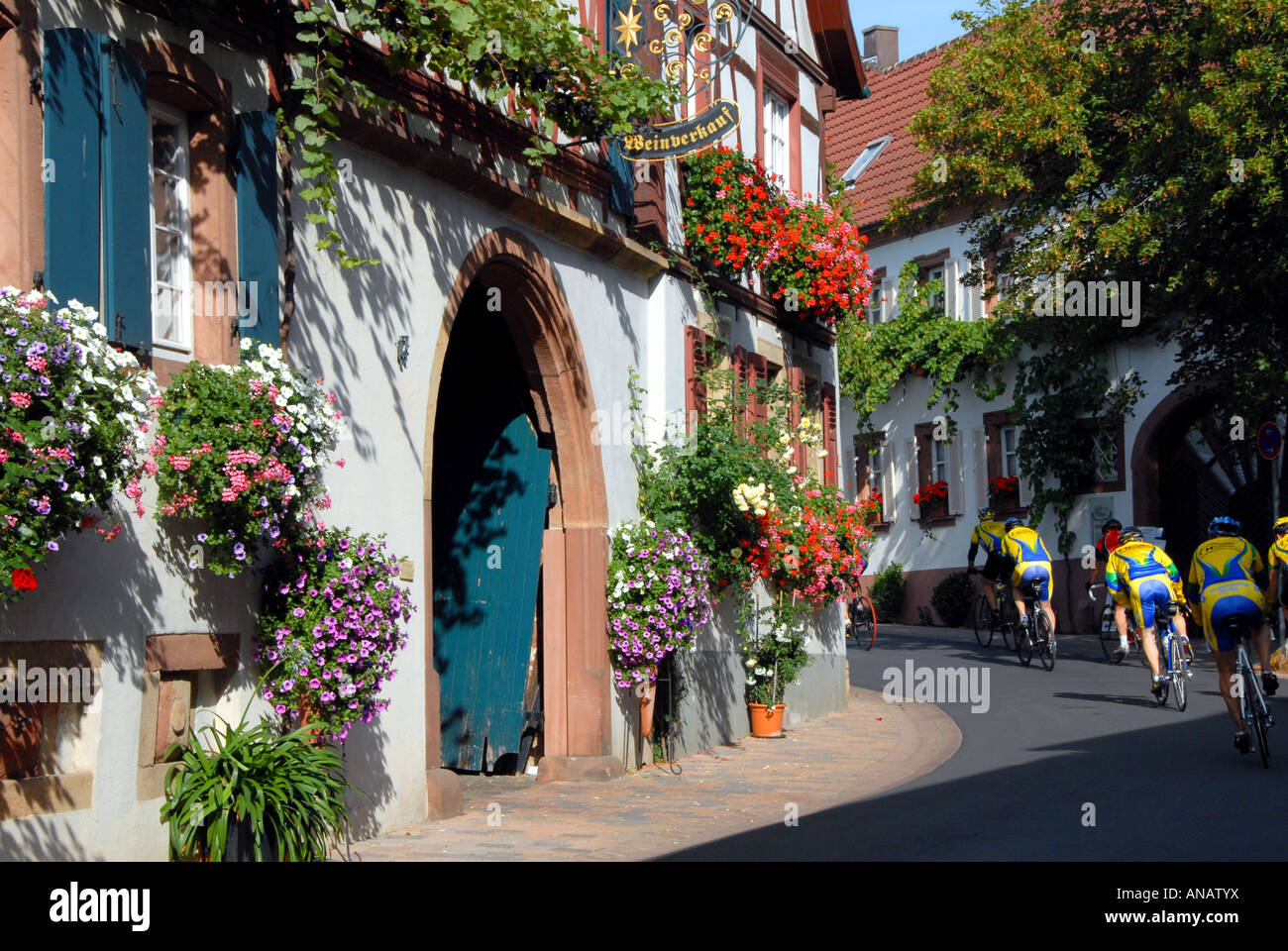 Weingut in Hainfeld, Deutschland, RheinlandPfalz, Hainfeld