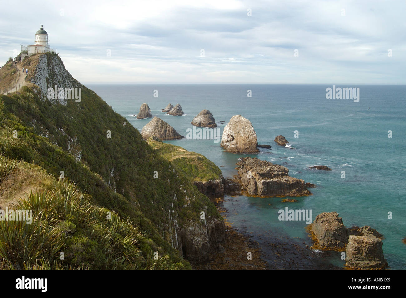 Leuchtturm und Felsen im Meer, die catlins, Südinsel, Neuseeland Stockfoto