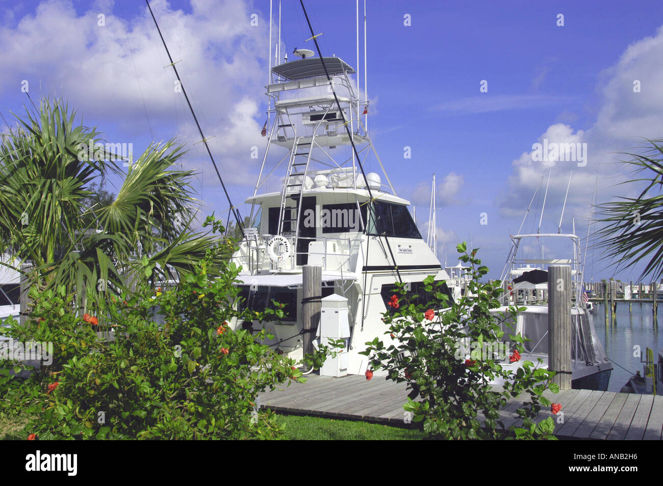Grand Bahama Island West End Old Bahama Bay Sportfishing Boot Stockfoto