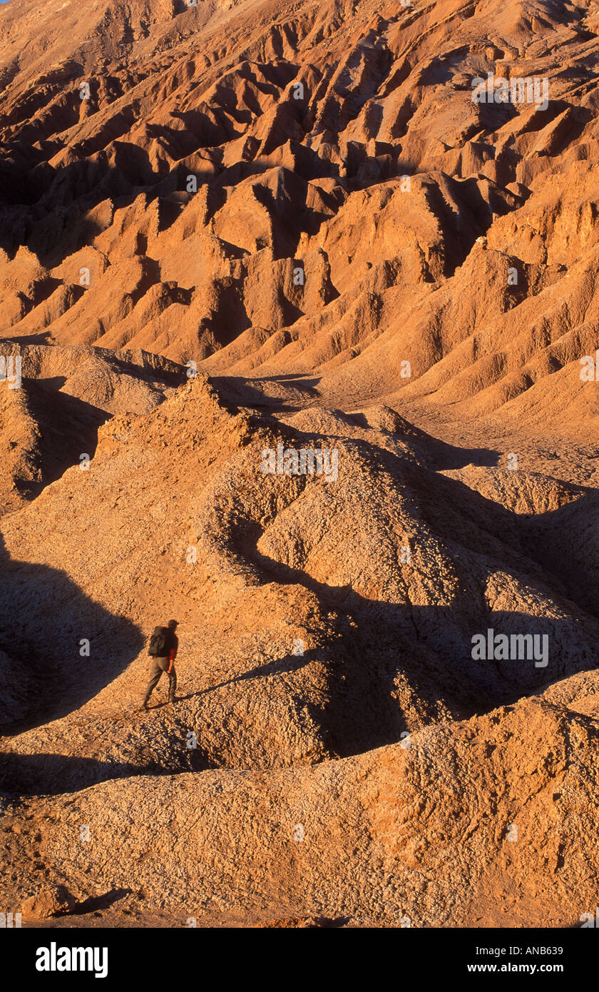 Einsame Figur trekking in der Wüste Atacamawüste Chile Stockfoto