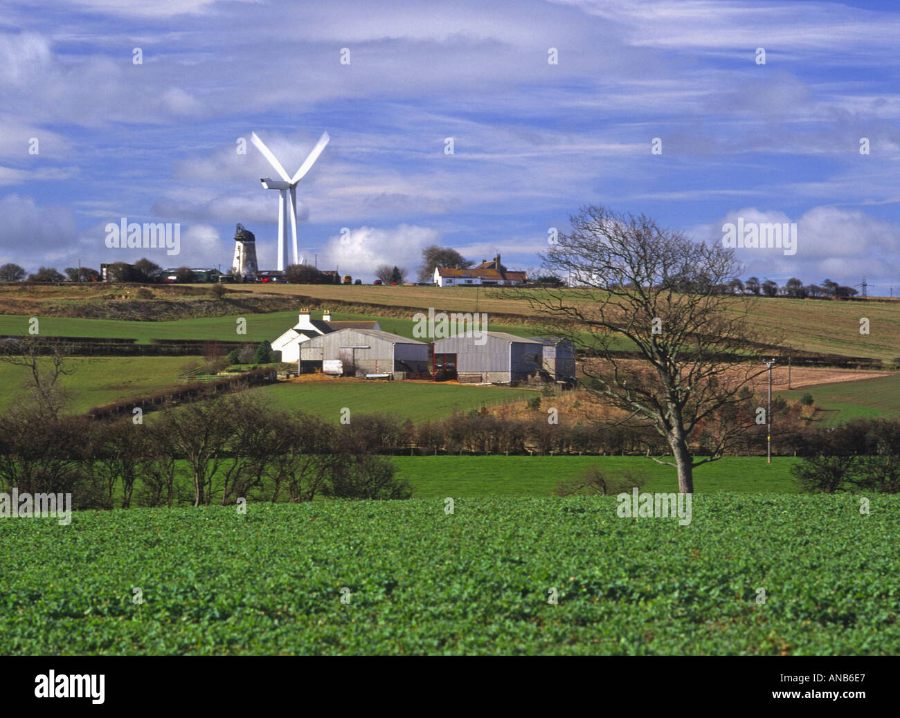 Alte Windmühle bleibt und moderne Windkraftanlage Hart Hartlepool Stockfoto