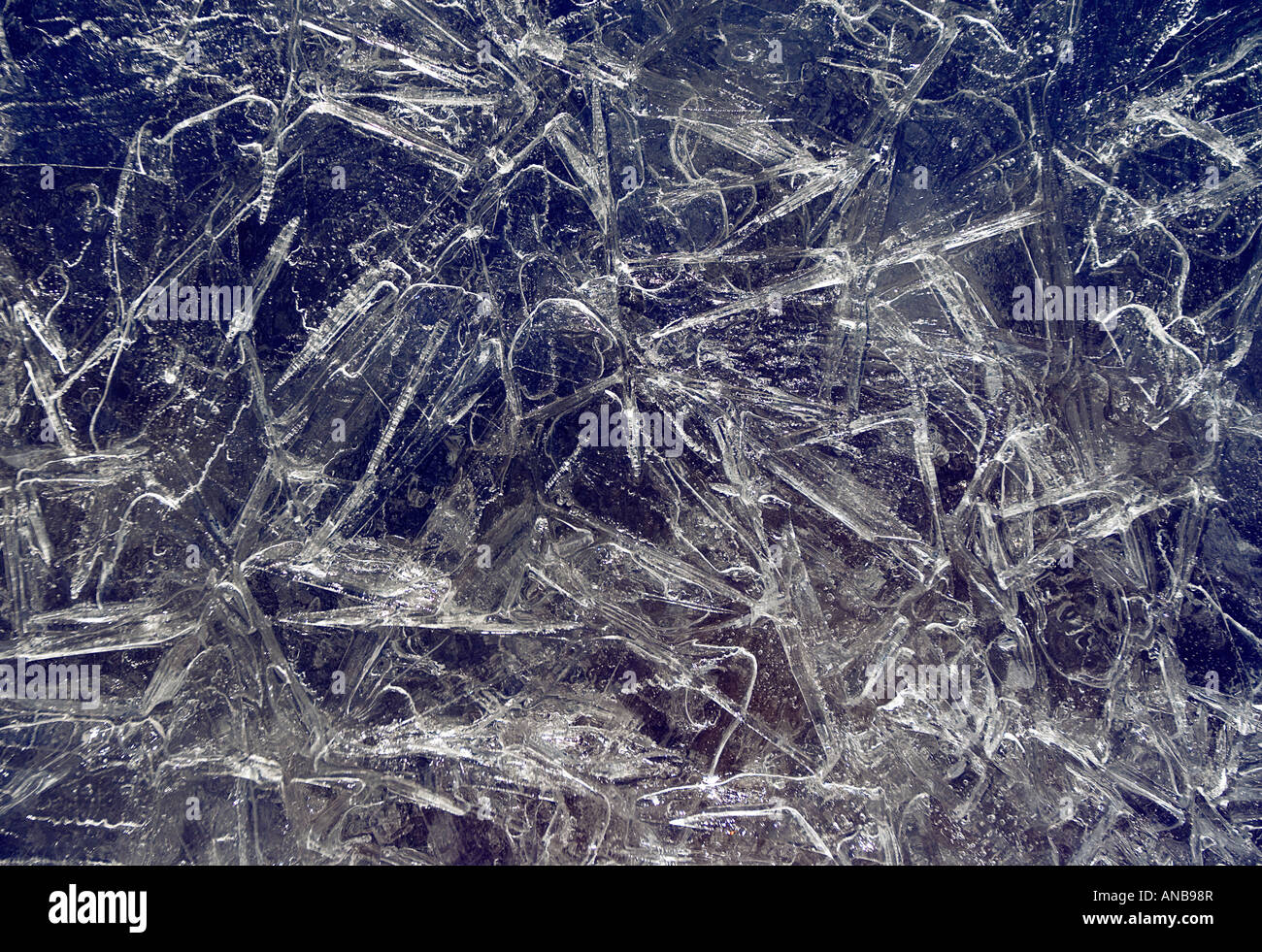 Natürliche Blatt Eis im winter Stockfoto