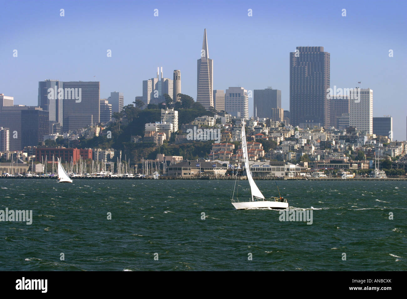 Yachten Segeln in San Francisco Bucht mit der Stadt als Kulisse Stockfoto