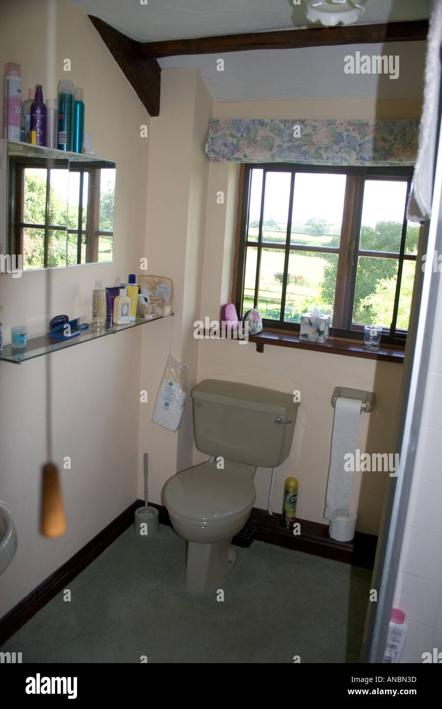 Badezimmer in englischen Landhaus Stockfoto