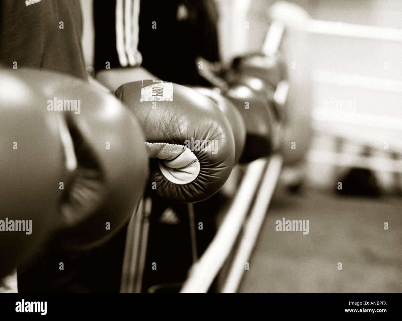 Einem schwarzen und weißen Landschaftsbild des Boxers Handschuhe ruht auf den Seilen eines Ringes in einer Turnhalle. Stockfoto