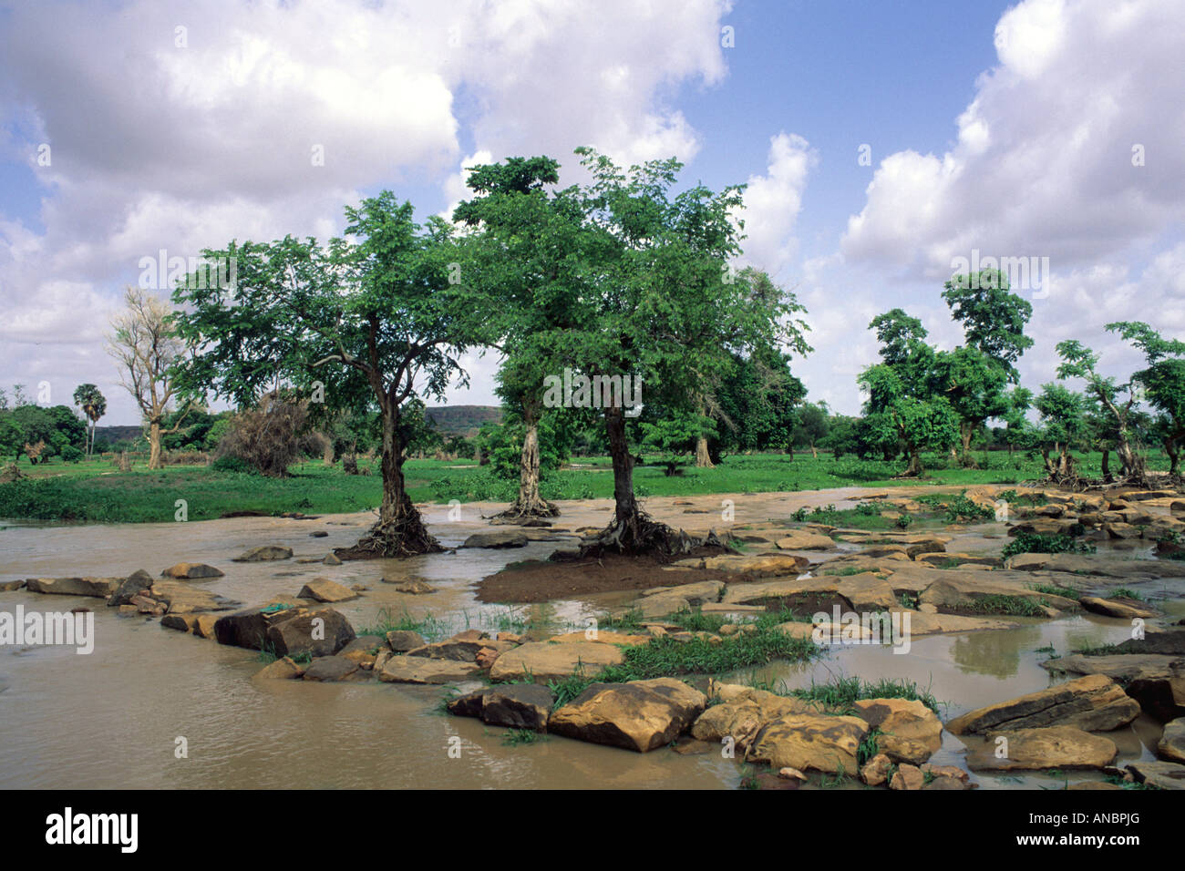 Überschwemmte Landschaft der Dogon-Land Stockfoto