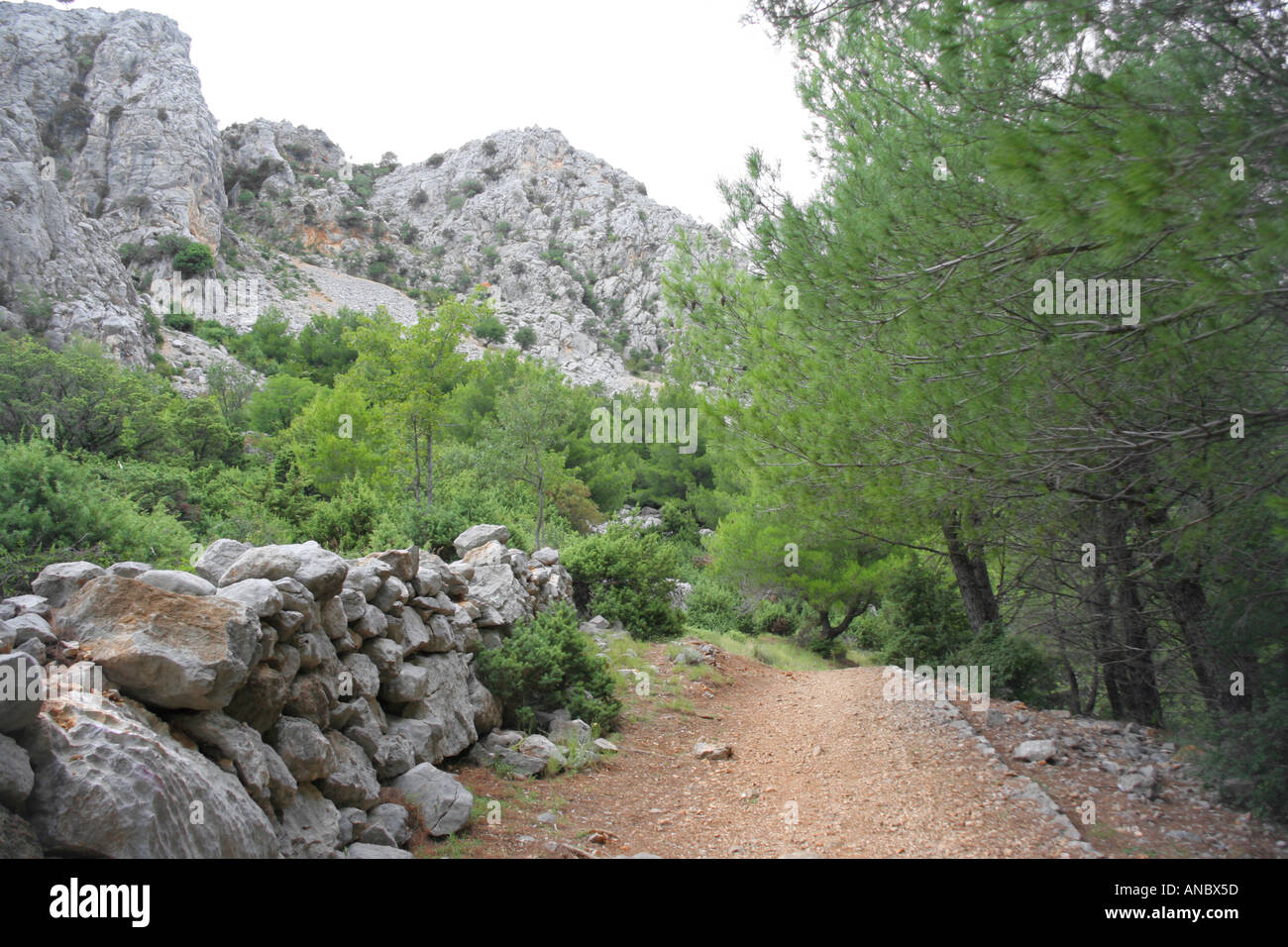 Mala Paklenica Canyon in Kroatien Stockfoto