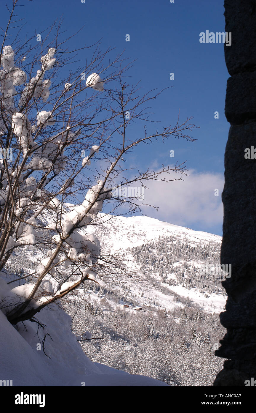 verschneiten Berg-Szene Stockfoto