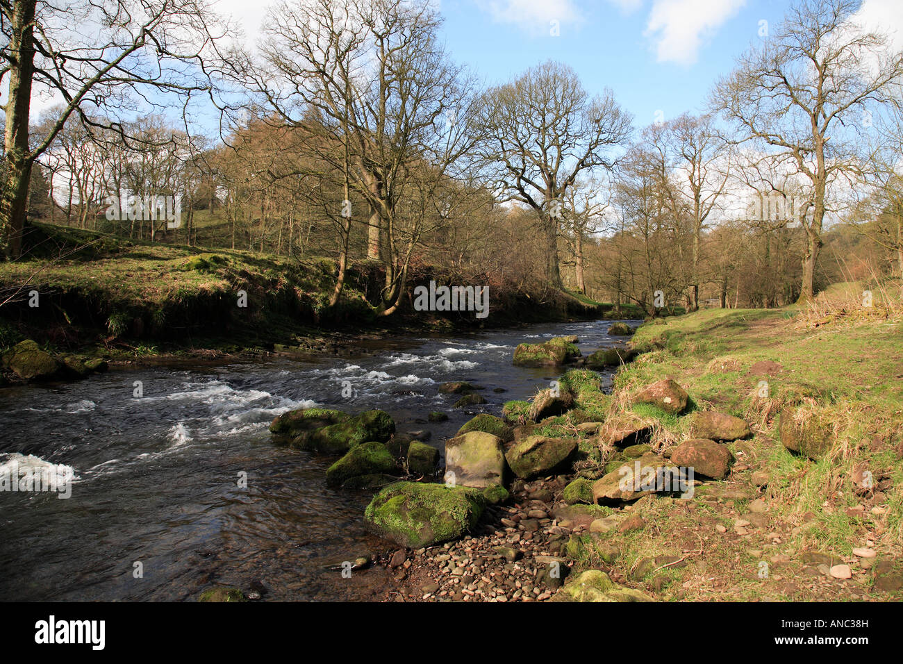 River Dane in Wincle in der Nähe von Macclesfield Cheshire UK Stockfoto