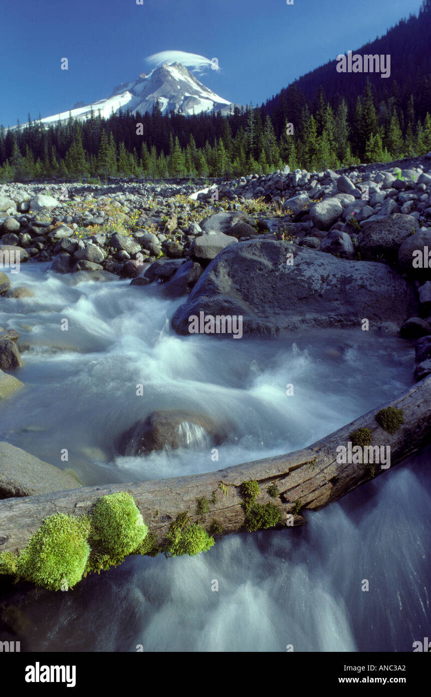 M00084 Tif Moos bedeckte melden White River und Mount Hood mit linsenförmige Wolke Oregon Stockfoto