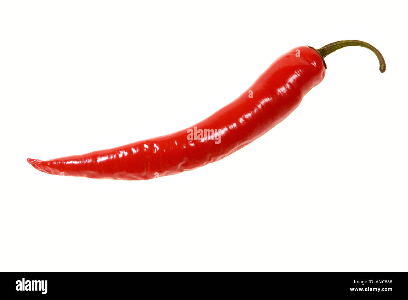 1 eine frische Paprika Chili kühl Chile Chili Essen single Schote Stockfoto