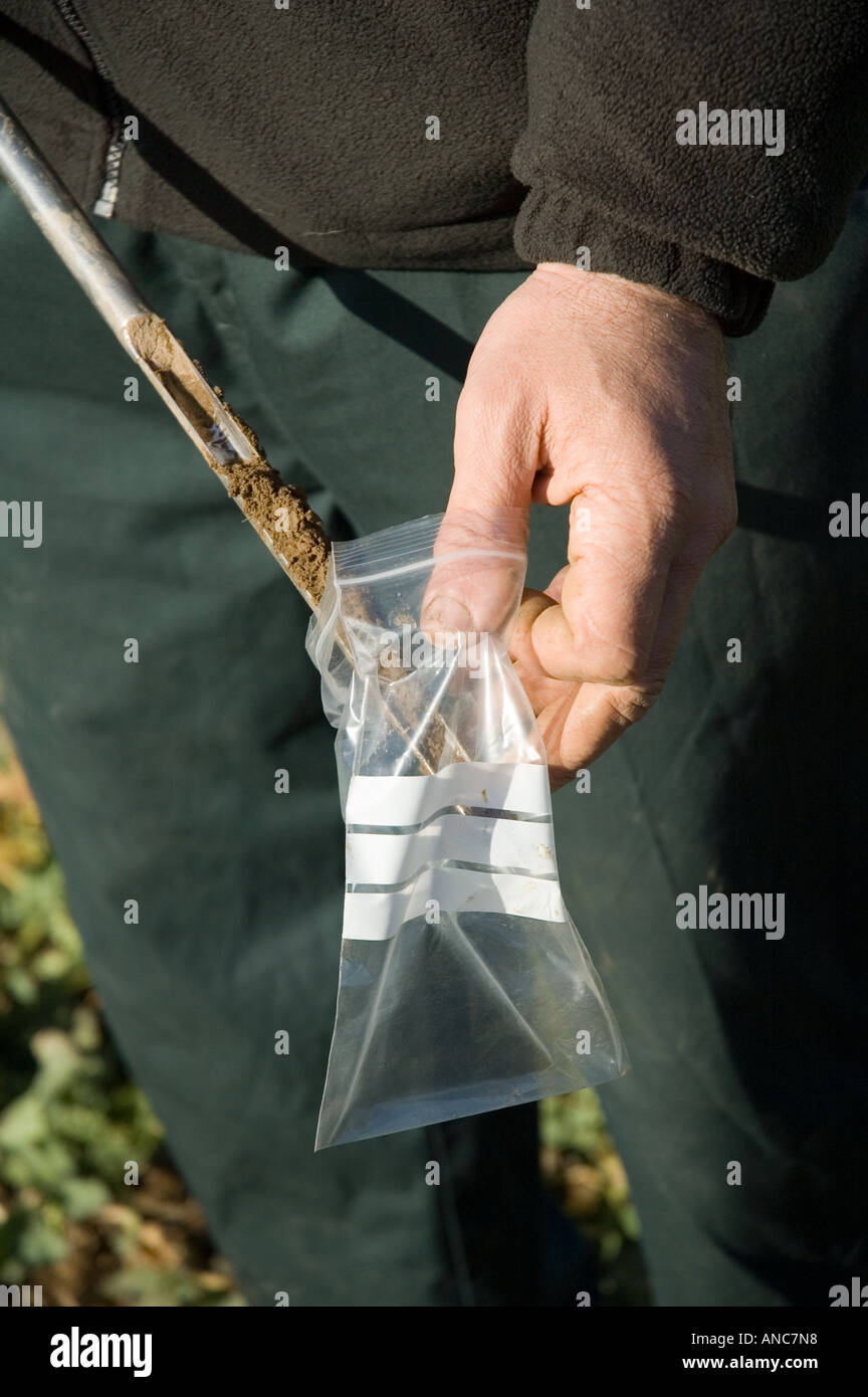 Ein Bauer oder ein Techniker nimmt eine Probe des Bodens aus einem Ernte-Feld Stockfoto