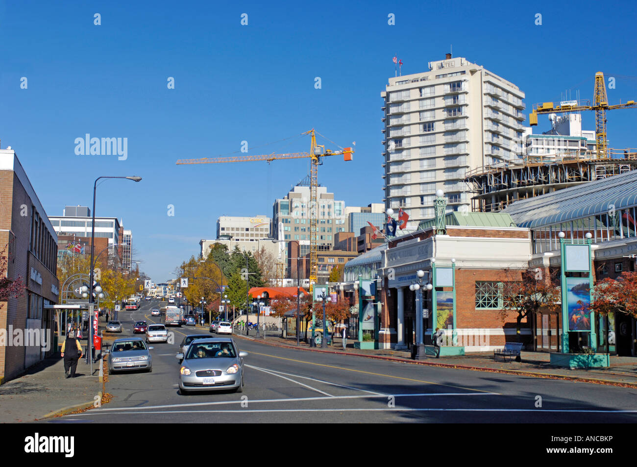 Douglas Street Victoria Vancouver Island BC Stockfoto