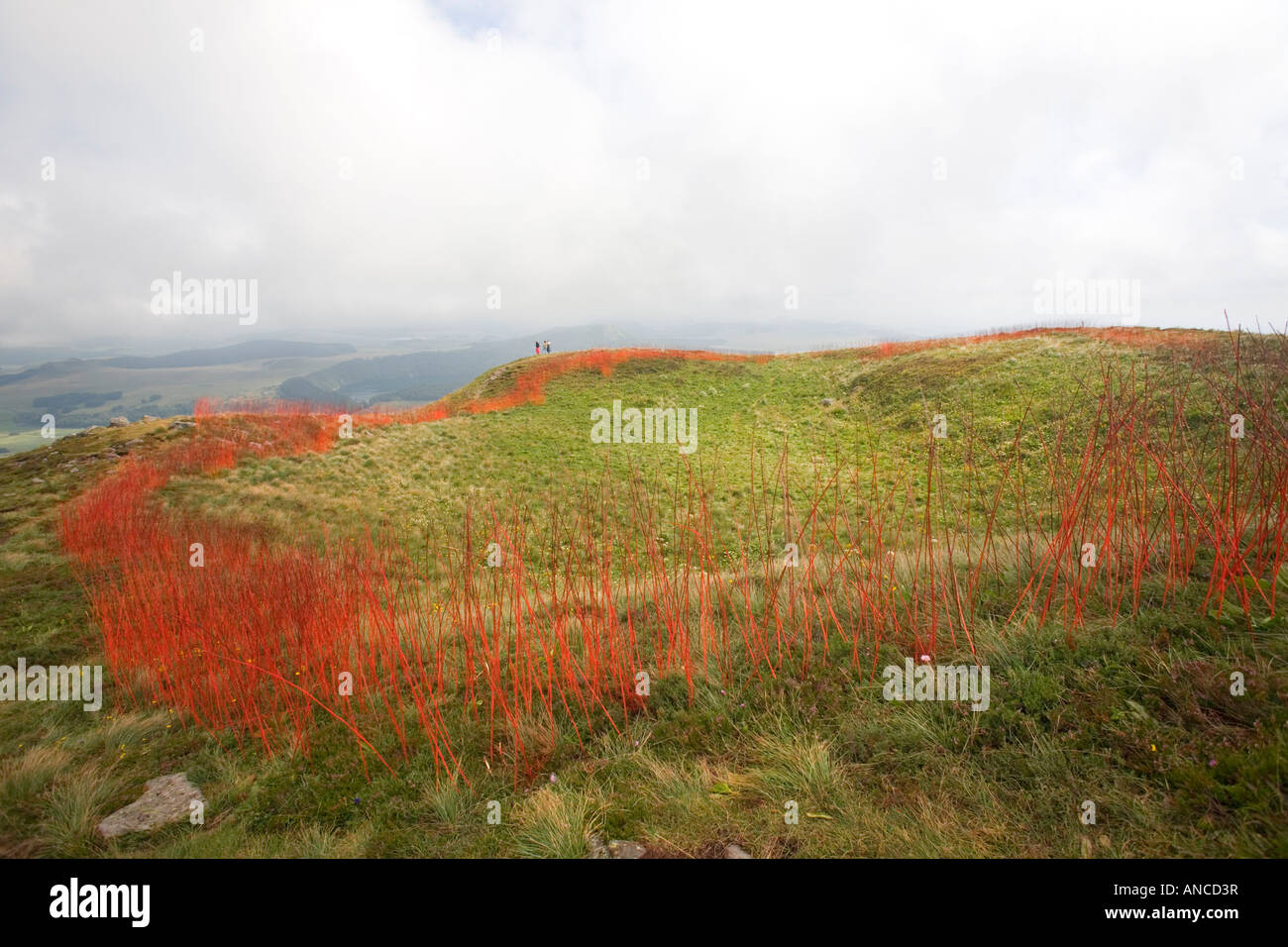 Landart am Puy de Chambourguet (Puy de Dôme - Frankreich). Land Art au Puy de Chambourguet (Puy de Dôme - Frankreich). Stockfoto