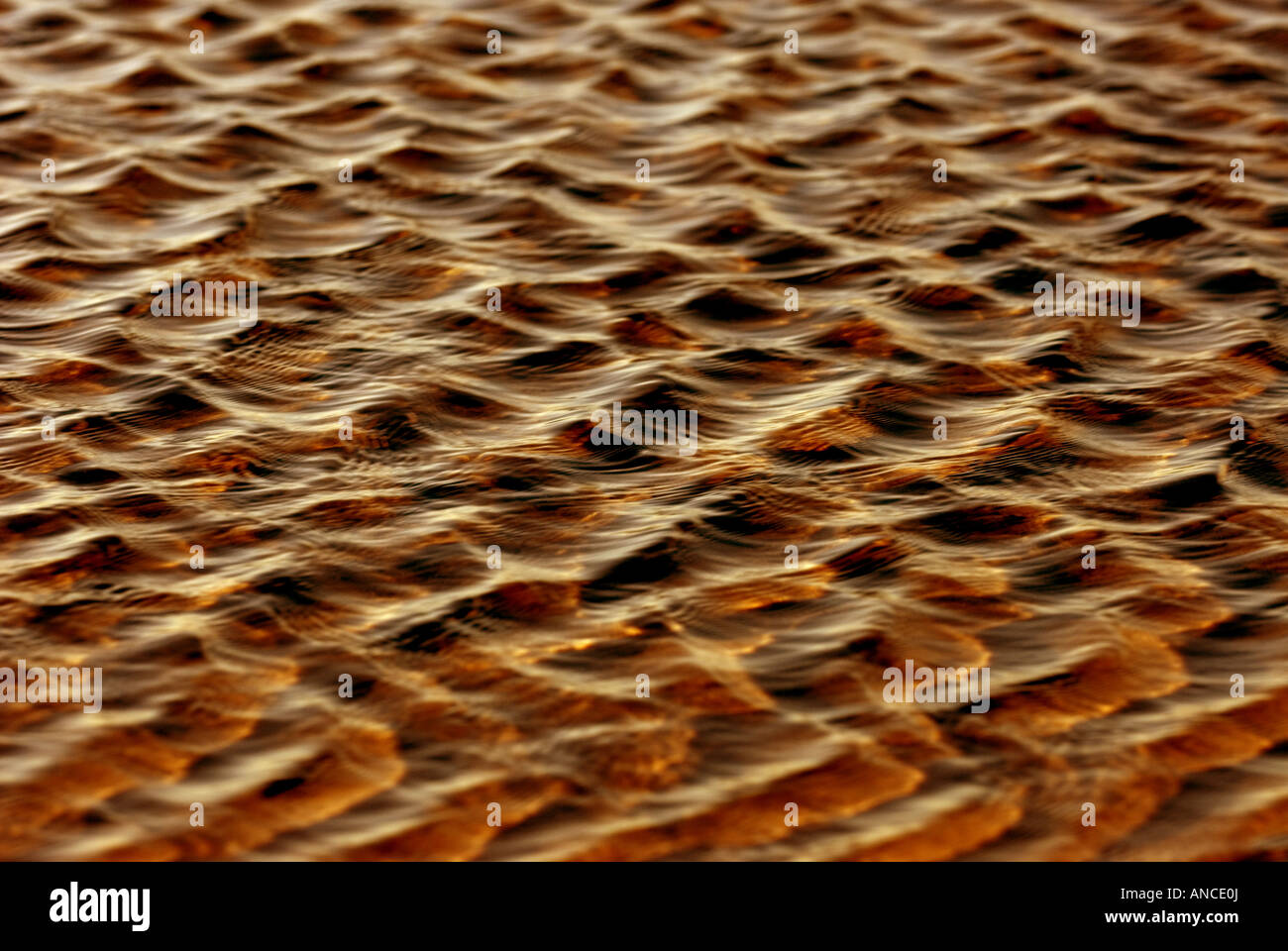 Die warmen Farben des Sonnenaufgangs Wasser spiegelt sich in den Ozean. Stockfoto