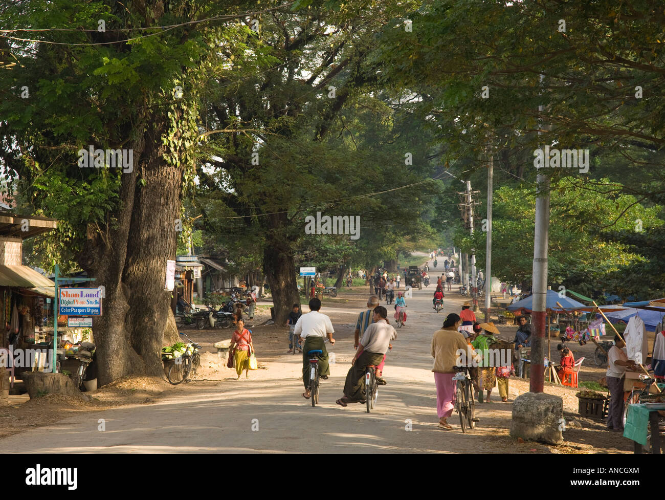 Myanmar Burma nördlichen Shan Staat Hsipaw Blick auf Hauptstraße mit Nahverkehr und große Bäume Stockfoto