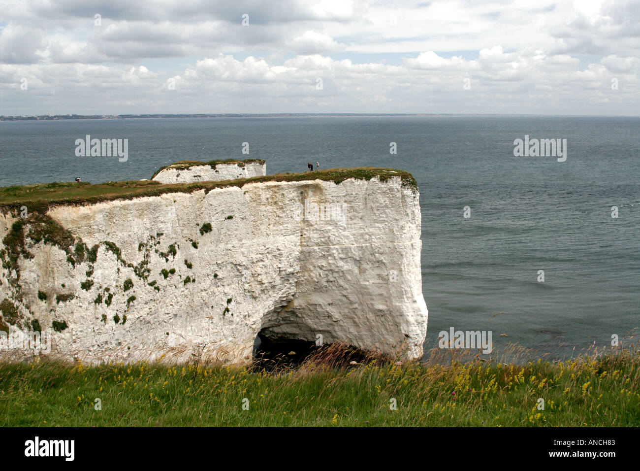 Old Harry Rocks, Swanage, Dorset, England, UK Stockfoto