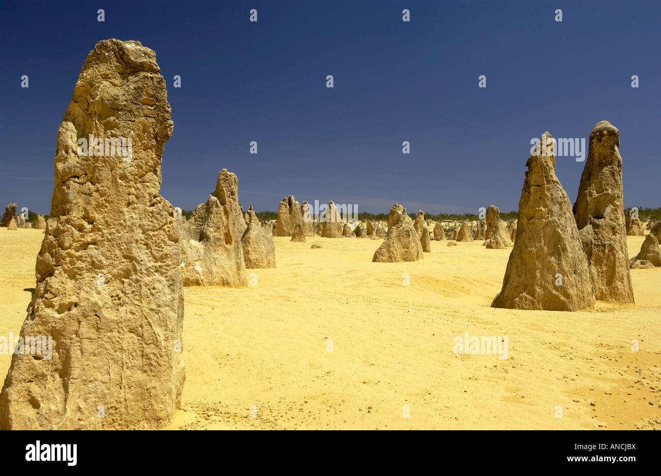 Pinnacles Desert in Westaustralien Stockfoto