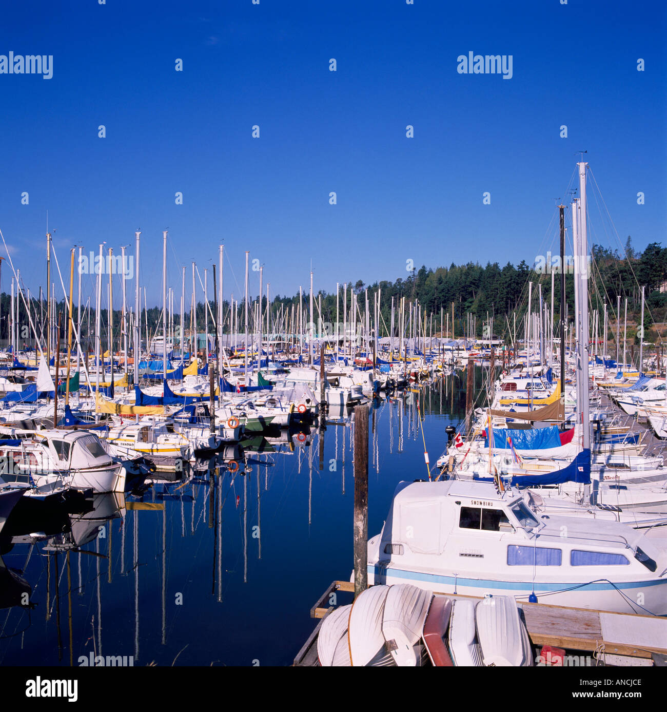 Sidney, Saanich Peninsula, Vancouver Island, British Columbia, Kanada - Booten in Tsehum Harbour Marina, Reflexion Stockfoto