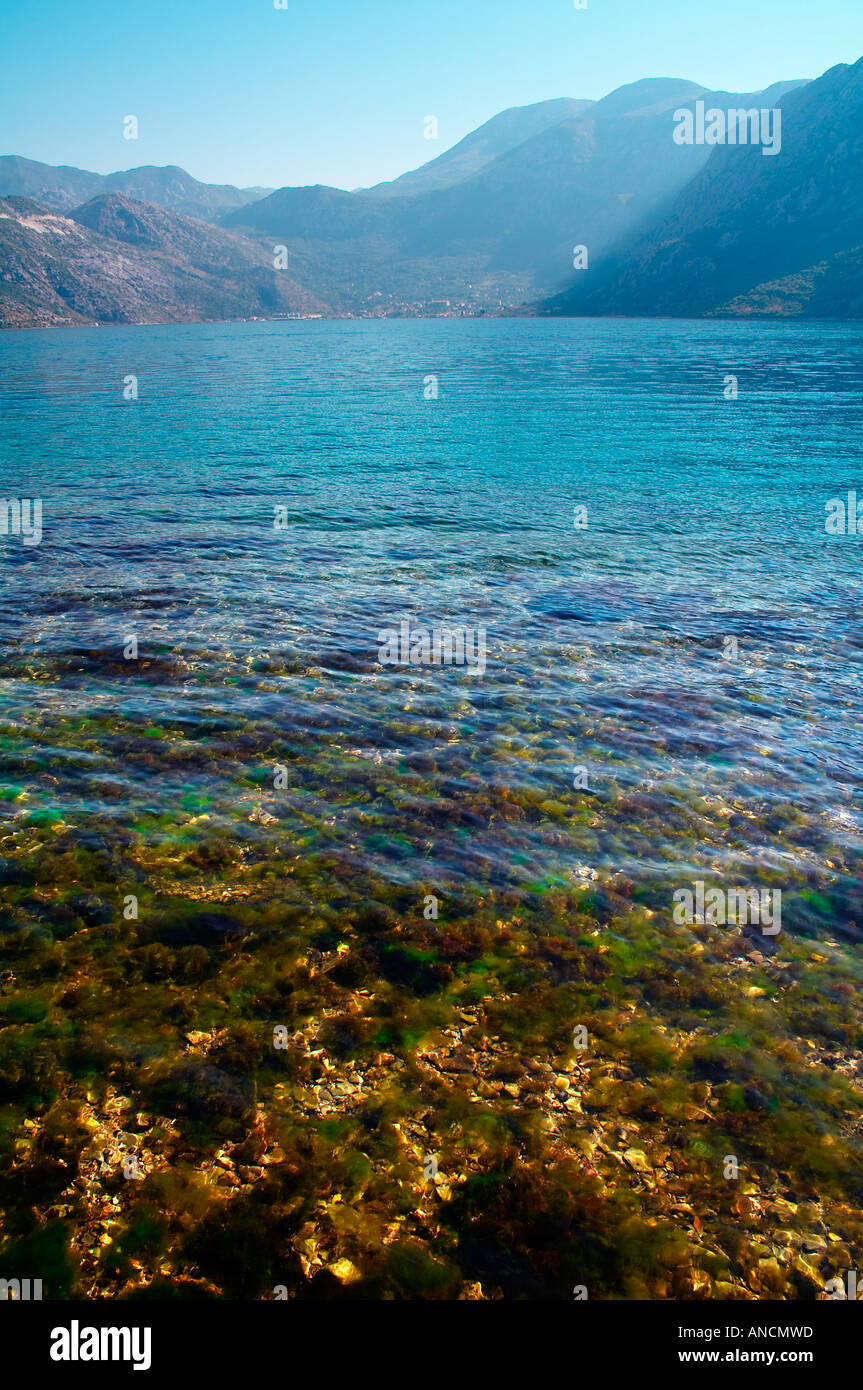 Bucht von KotorBay von Kotor in Montenegro, Europa Stockfoto