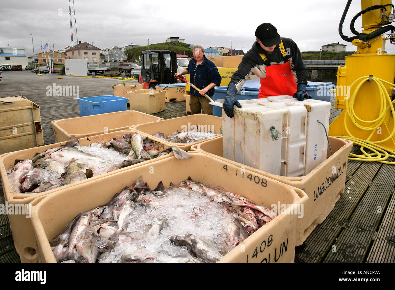 Kommerzielle Fischerei Stykkisholmur Island Stockfoto