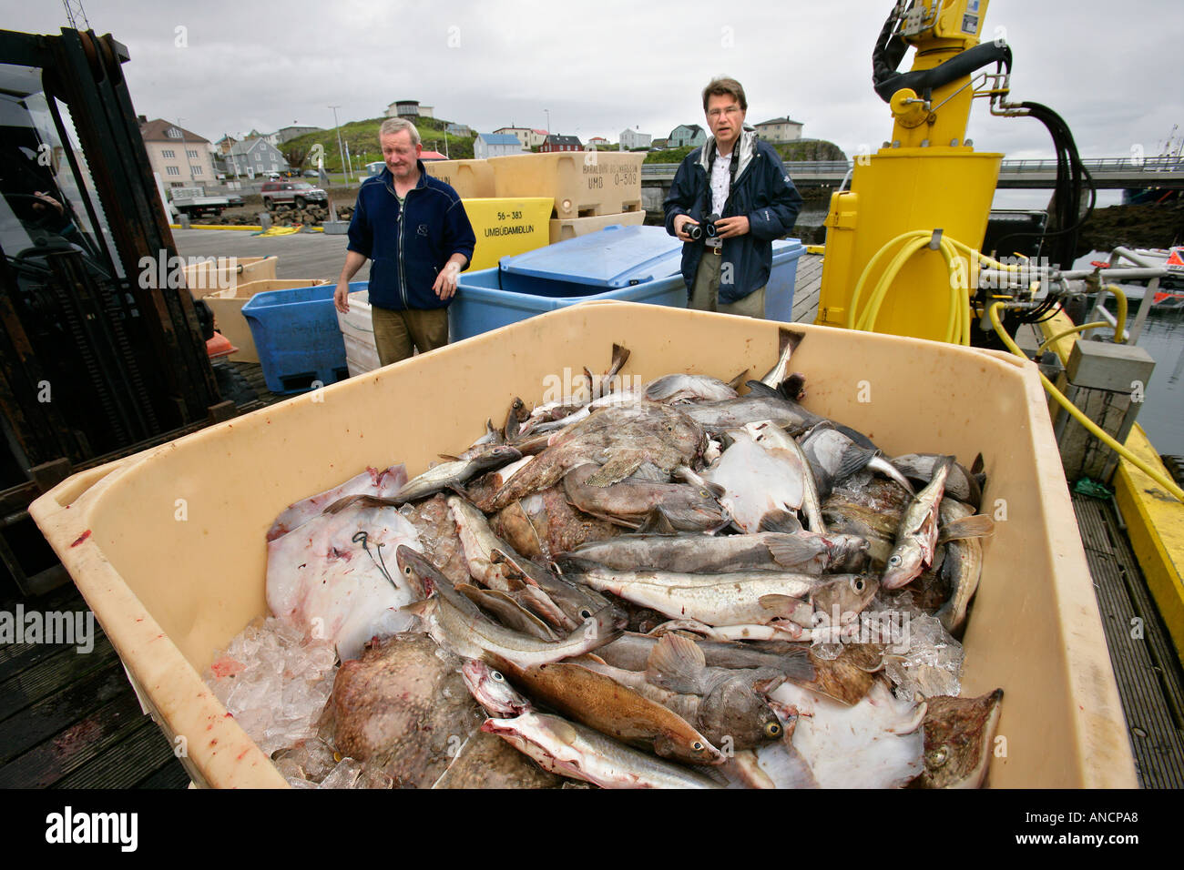 Kommerzielle Fischerei Stykkisholmur Snaefellsnes Island Stockfoto