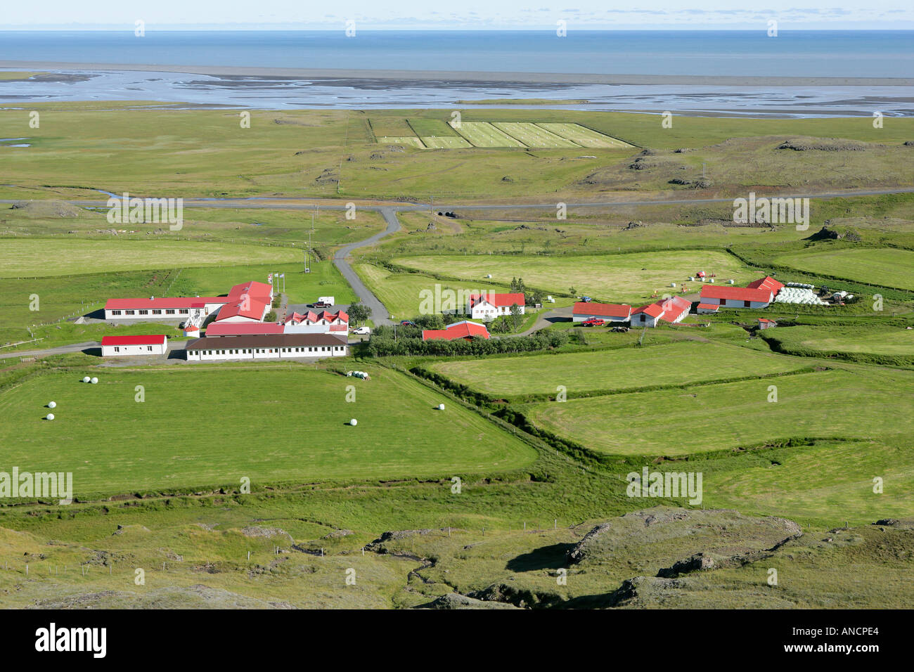 Landwirtschaft der südlichen Küste von Island Stockfoto