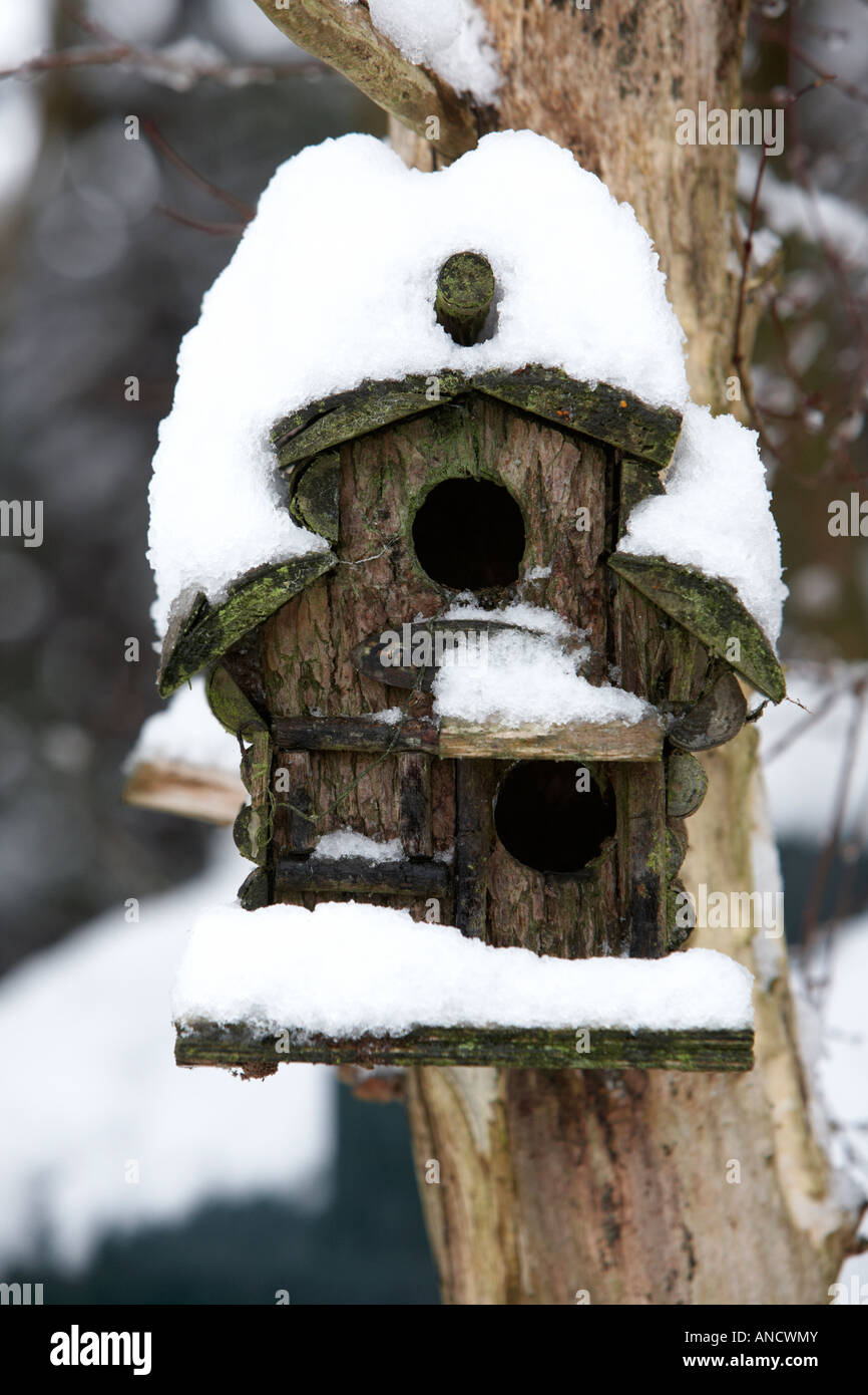 kleinen Holzscheit Vogelhaus tief verschneiten hängen von einem Baum in einem Garten Stockfoto