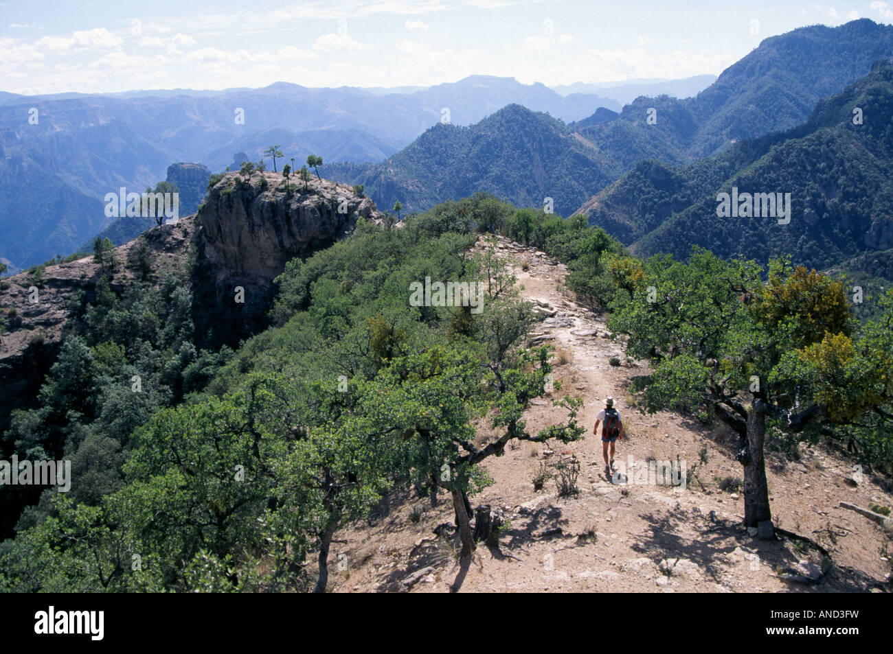 Ein Wanderer in massiven Kupfer Canyon in den Sierra Madre Bergen von Nordmexiko Stockfoto